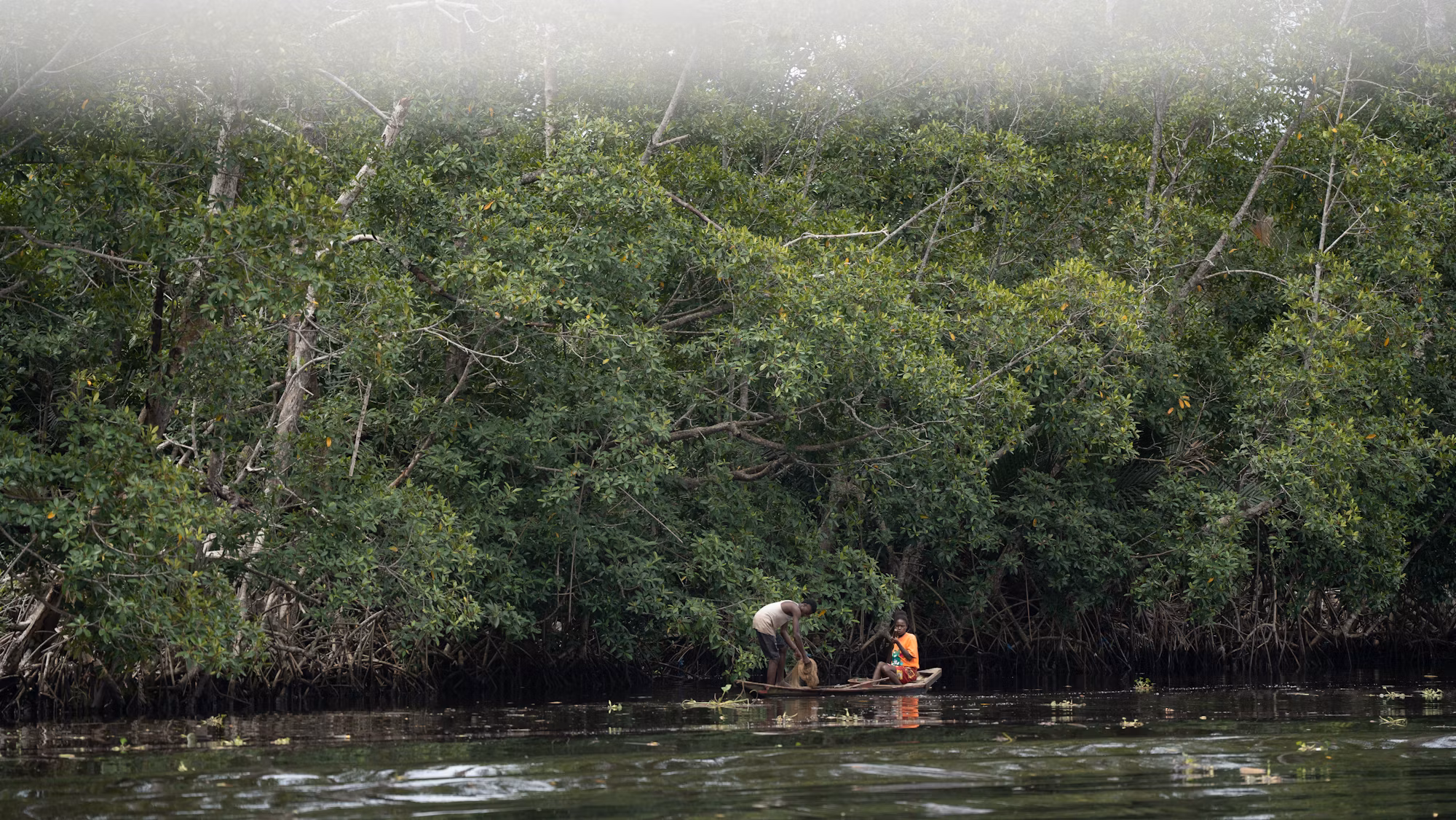Exploring Freshwater Fishing Techniques: A Comprehensive Guide